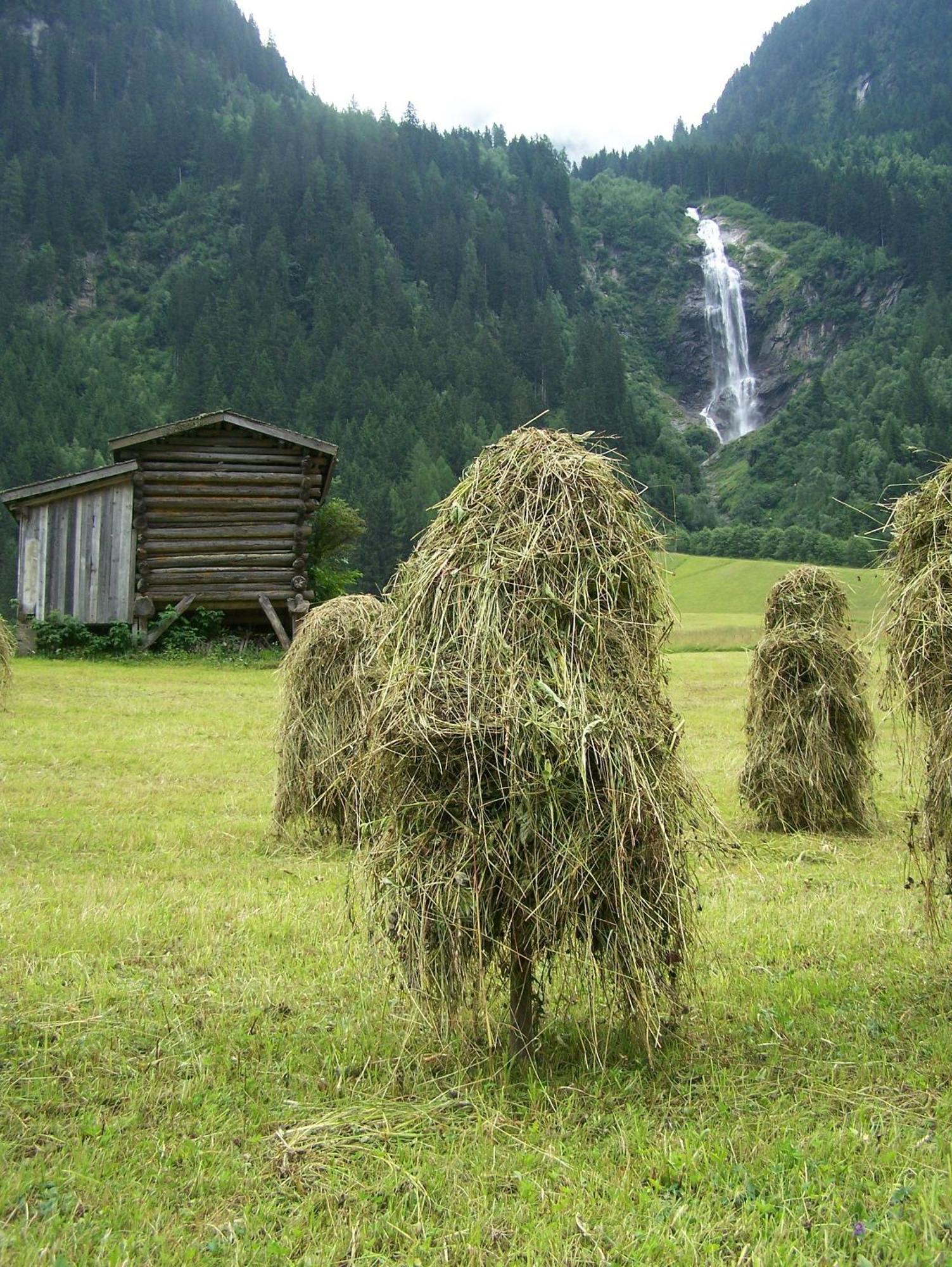 Apart-Pension Wasserfall Neustift im Stubaital Zewnętrze zdjęcie