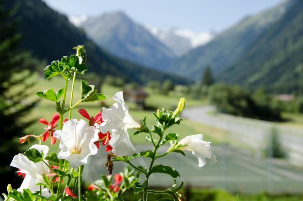 Apart-Pension Wasserfall Neustift im Stubaital Zewnętrze zdjęcie